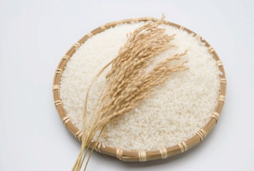 рис 쌀