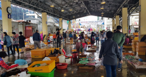 Рынок Джагальчи 자갈치 시장